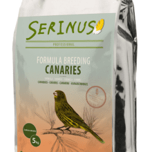 Krmivo pro kanáry – odchov 5 kg