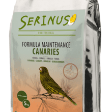 Krmivo pro kanáry – chov 5 kg