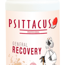 Psittacus General Recovery 1 kg