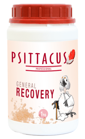 Psittacus General Recovery 1 kg