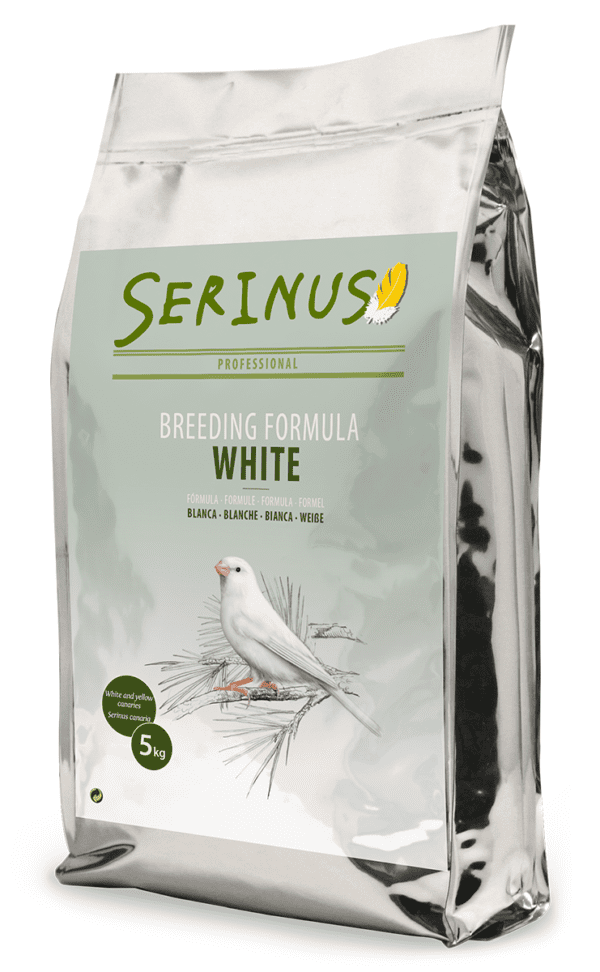 Krmivo pro bílé kanáry – odchov 5 kg