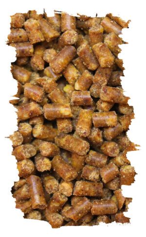 Krmivo pro holuby – chov