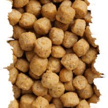 Granule pro papoušky HIGH PROTEIN