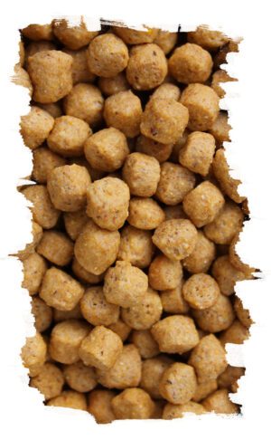 Granule pro papoušky HIGH PROTEIN