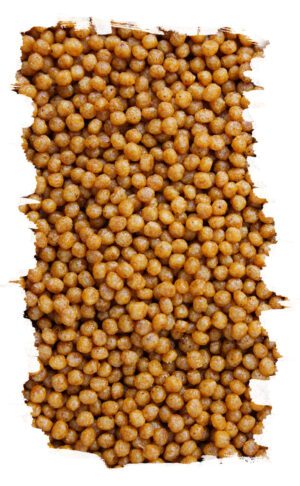 Granule pro malé papaoušky MINOR