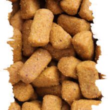 Granule pro papoušky OMEGA