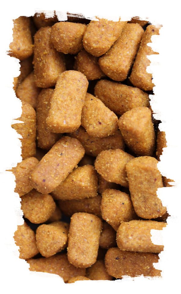 Granule pro papoušky OMEGA