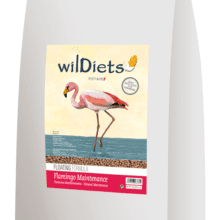 Granule pro plameňáky – klid 15 kg